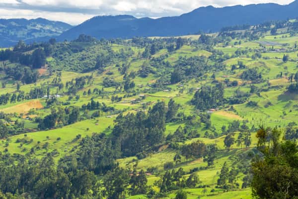 Estilo de vida en Girardot Naturaleza