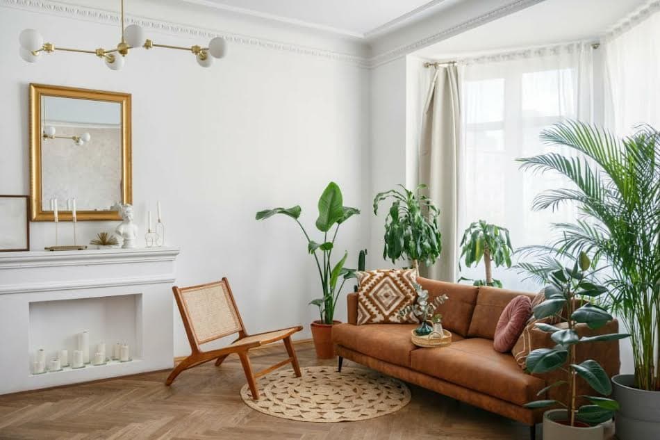 Sala con plantas